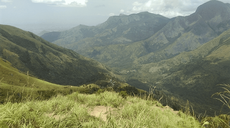 01-Munnar-Top-Station (1)