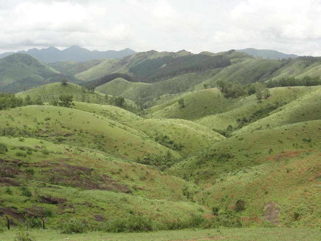 top-hill-stations-vagamon