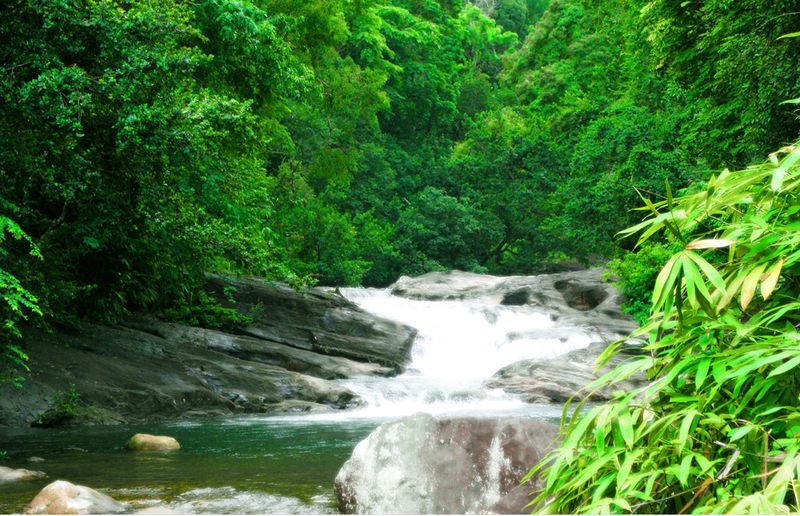 ponmudi-kallar-meenumutti