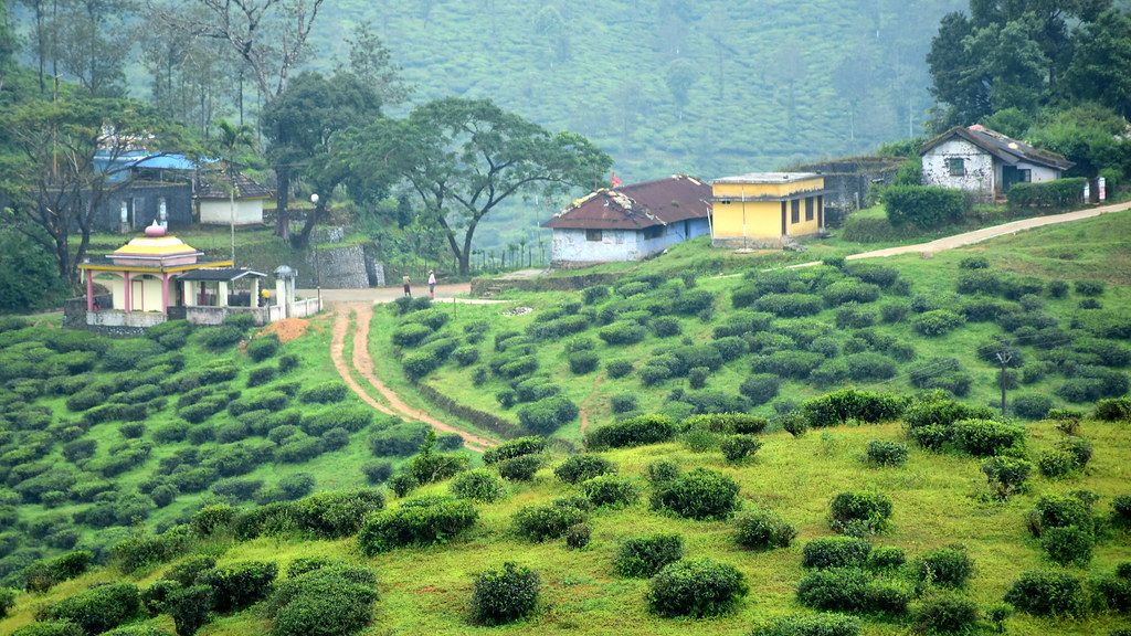 Best places of Kerala to visit with Family-thekkady