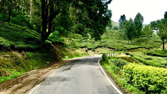 kochi-to-munnar-route