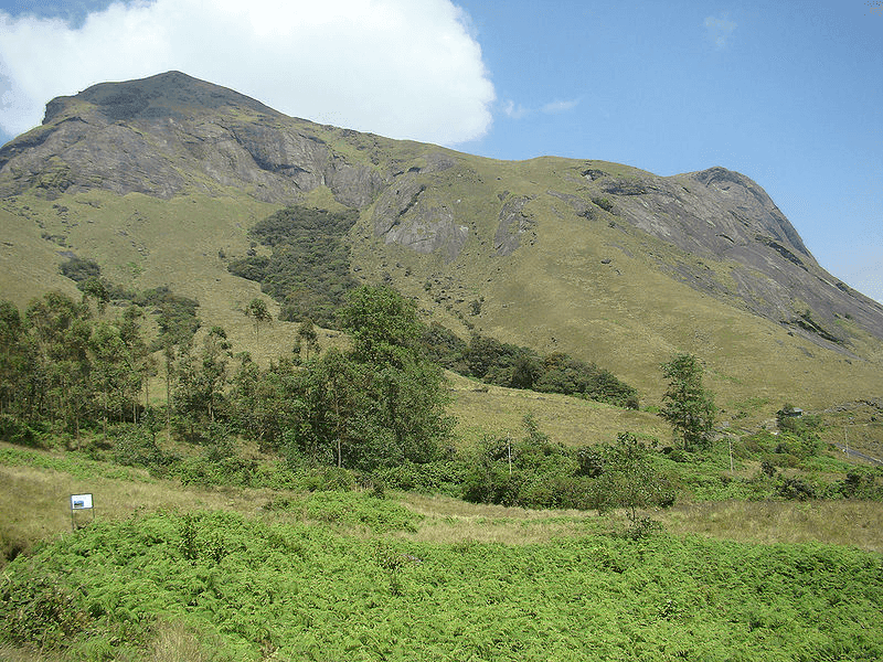 03-Aanamudi-Peak-Munnar