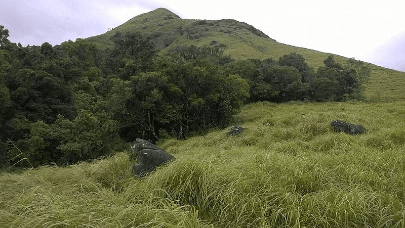 10-Vellarimala-Wayanad