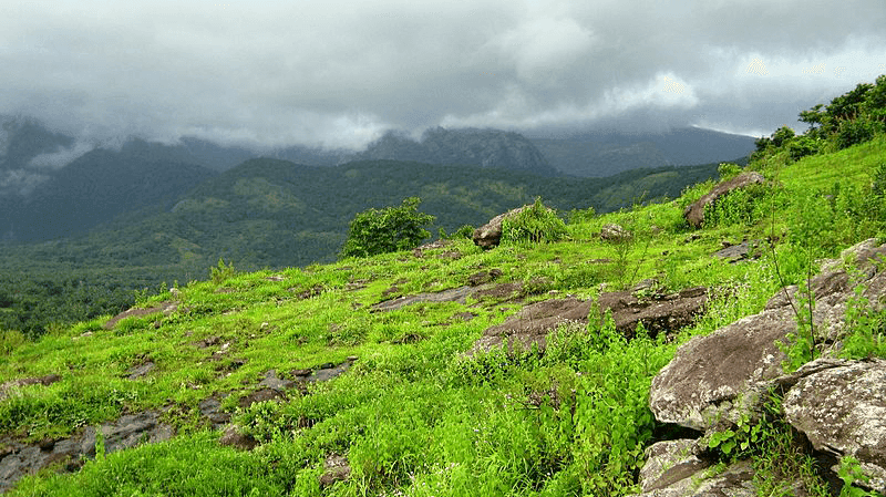 09-Dhoni-Hills-Palakkad