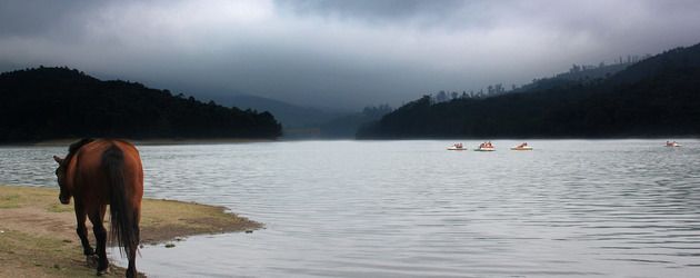 mattupetty-dam-munnar