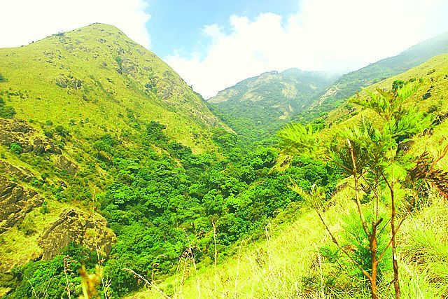 kattukkunnu-trekking