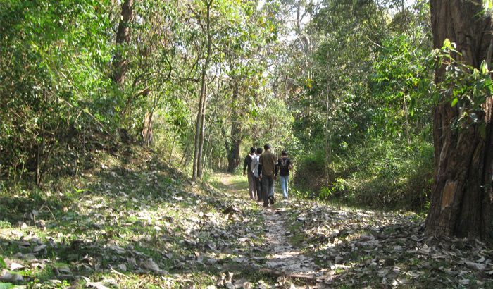 Periyar-Tiger-Reserve-wildlife