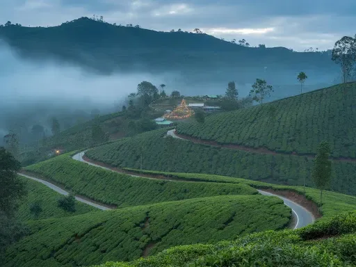 munnar.webp